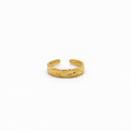 Anillo Terra