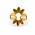 Anillo Luz