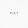 Anillo Lúa