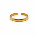 Anillo Bico