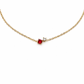 Collar Agra
