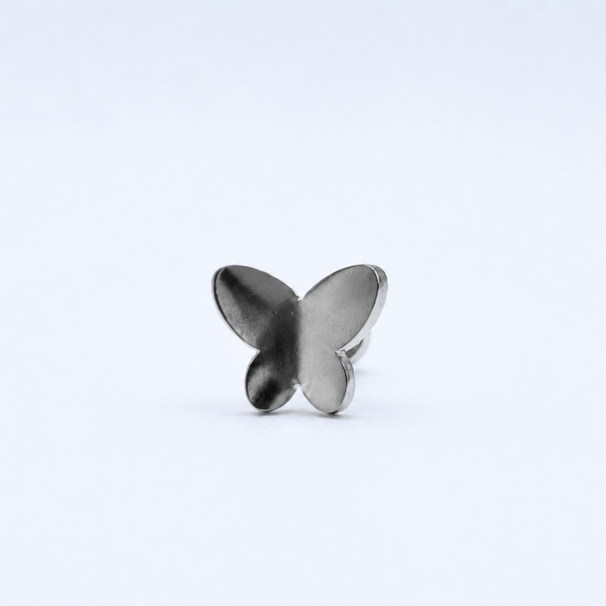 Piercing Lepi