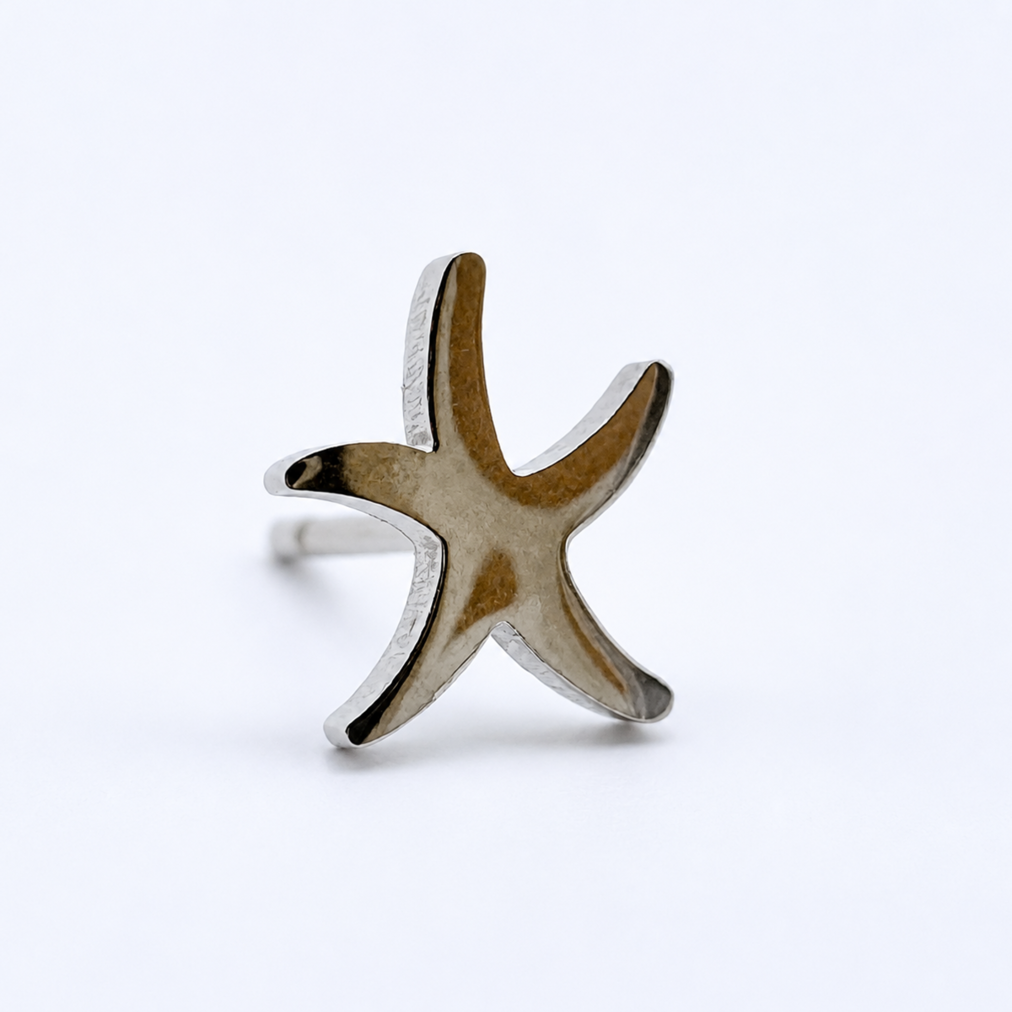 Piercing Asterina